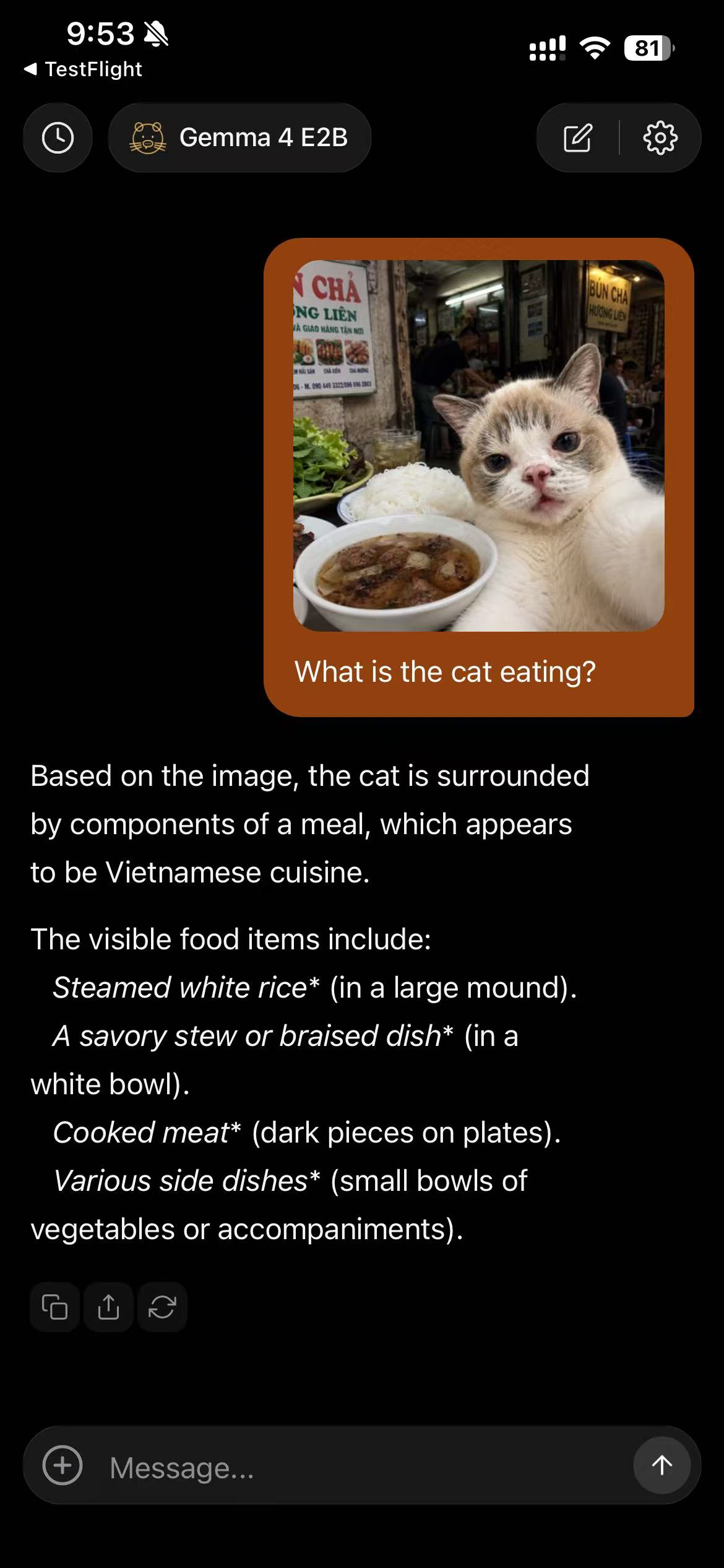 Ragondin Assistant vision feature analyzing a photo of a cat